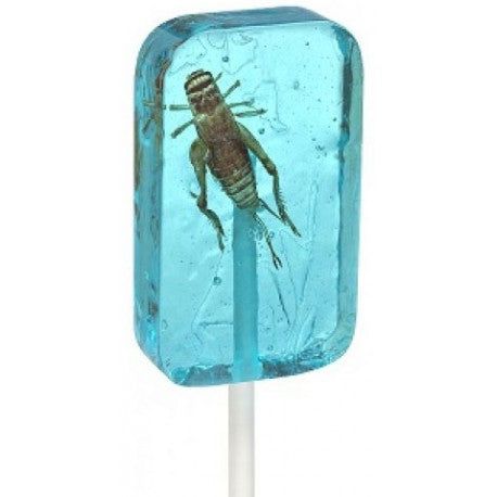 Blueberry Cricket Sucker